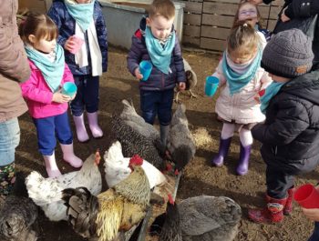 Les élèves de l’école Henri Alexandre en visite pédagogique à la ferme de Roloux