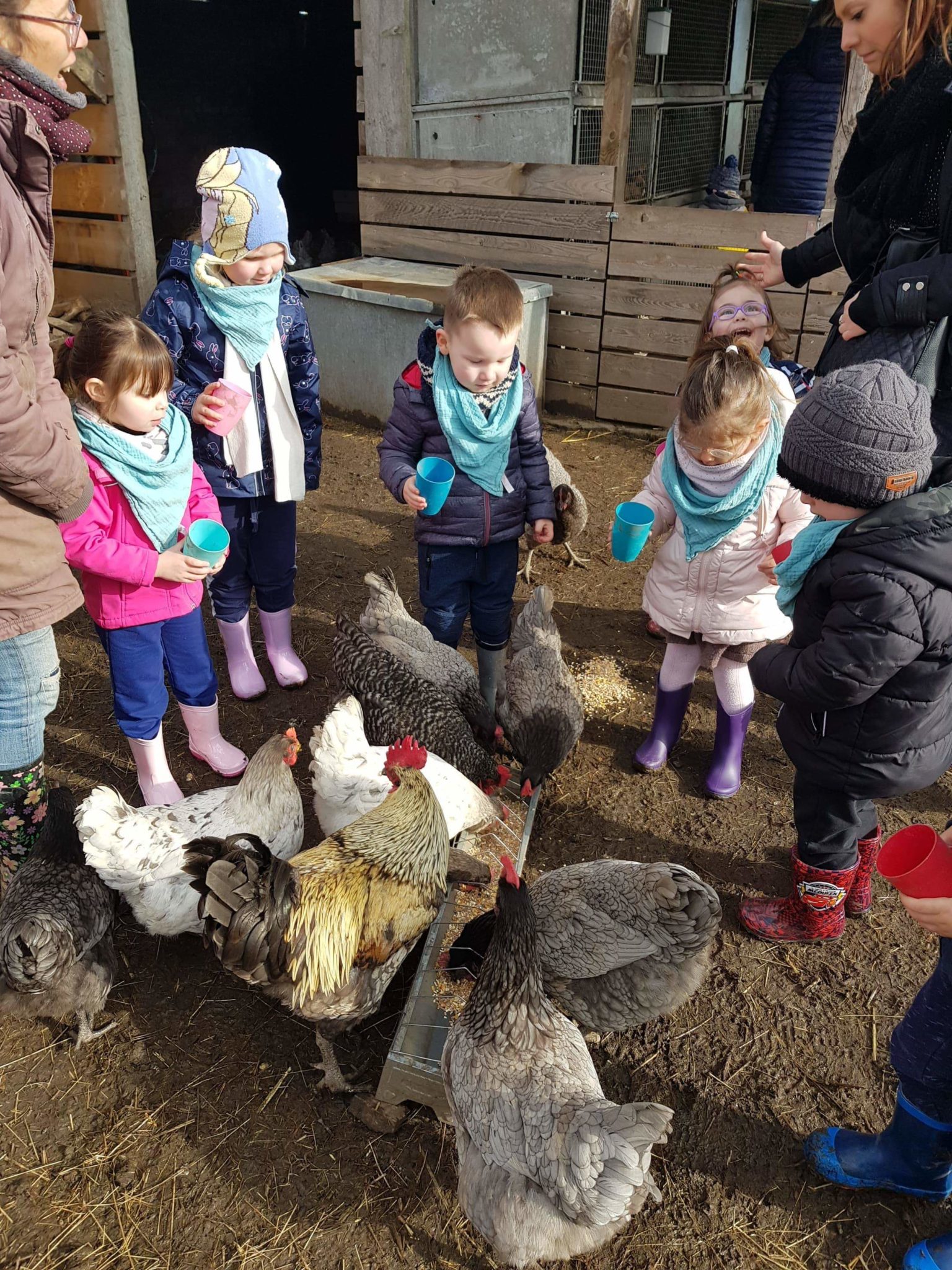 Les élèves de l’école Henri Alexandre en visite pédagogique à la ferme de Roloux