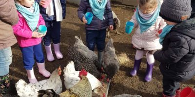 Les élèves de l’école Henri Alexandre en visite pédagogique à la ferme de Roloux